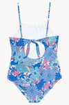 Sol De Sur Cut Out One Piece by Seafolly